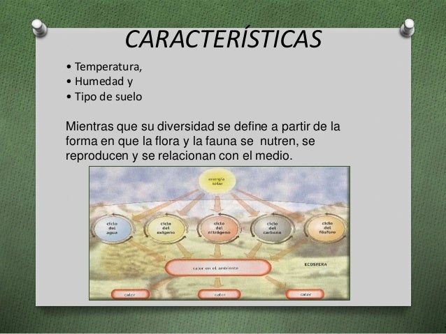 Ecosistemas en mexico