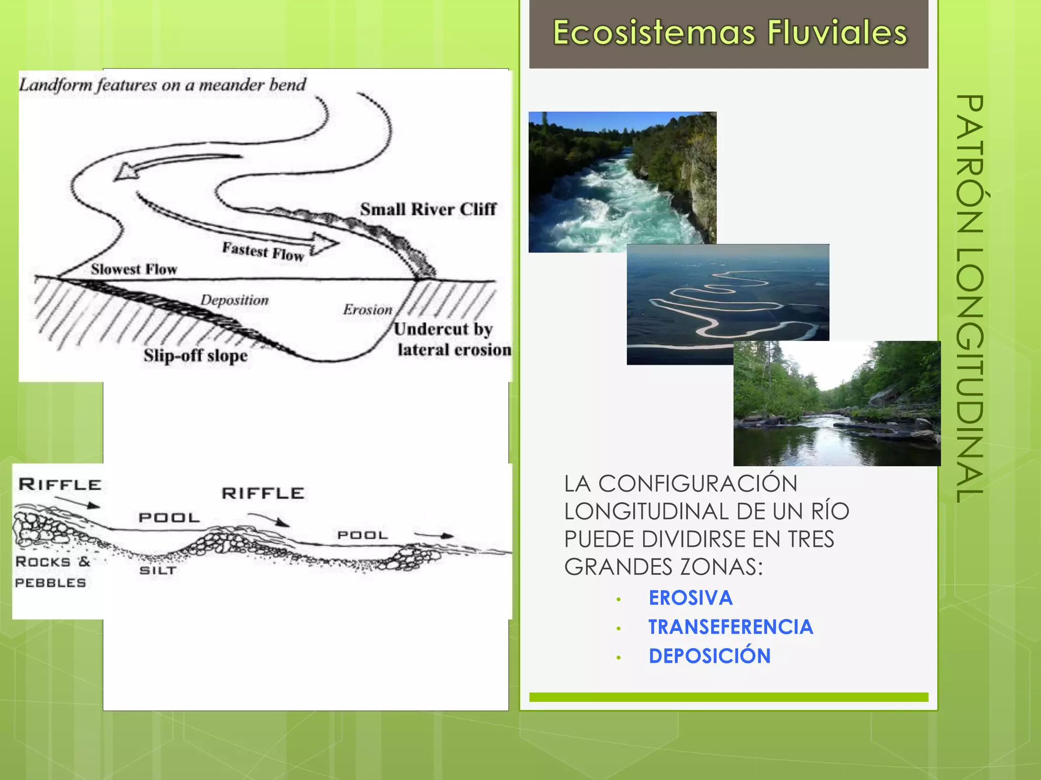 Ecosistemas Fluviales PPT ecosistemas-fluviales-ppt