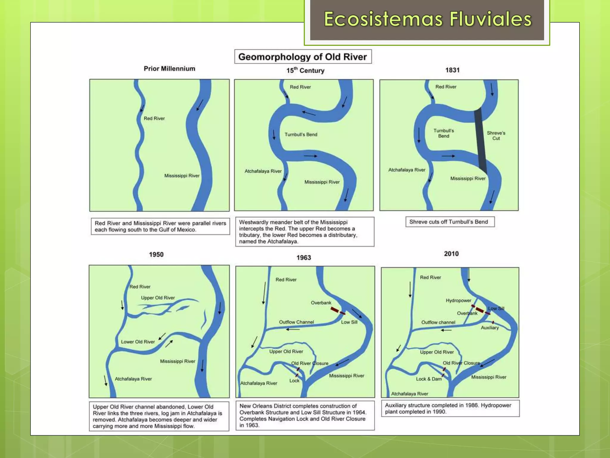 Ecosistemas Fluviales PPT ecosistemas-fluviales-ppt