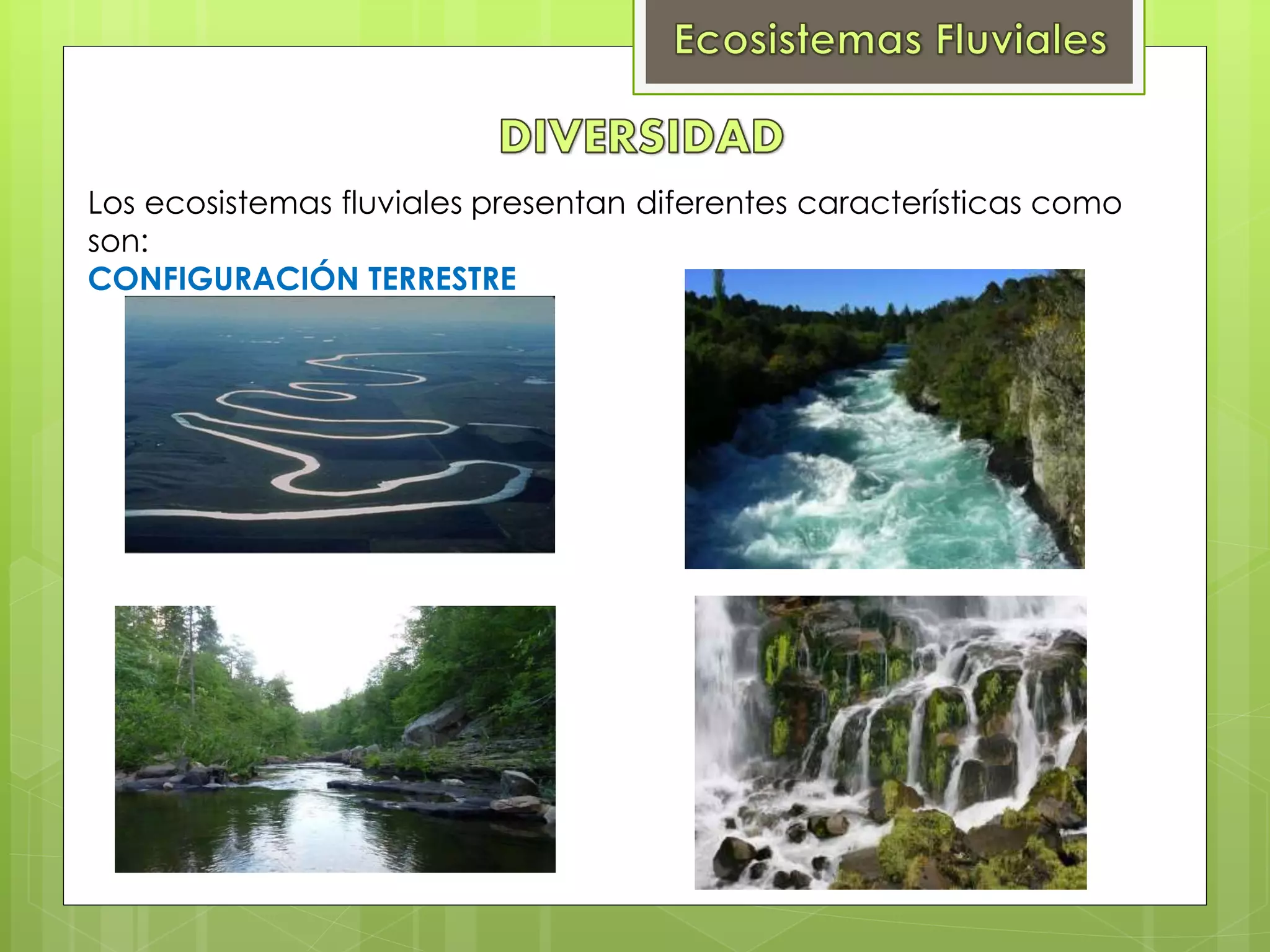Ecosistemas Fluviales PPT ecosistemas-fluviales-ppt
