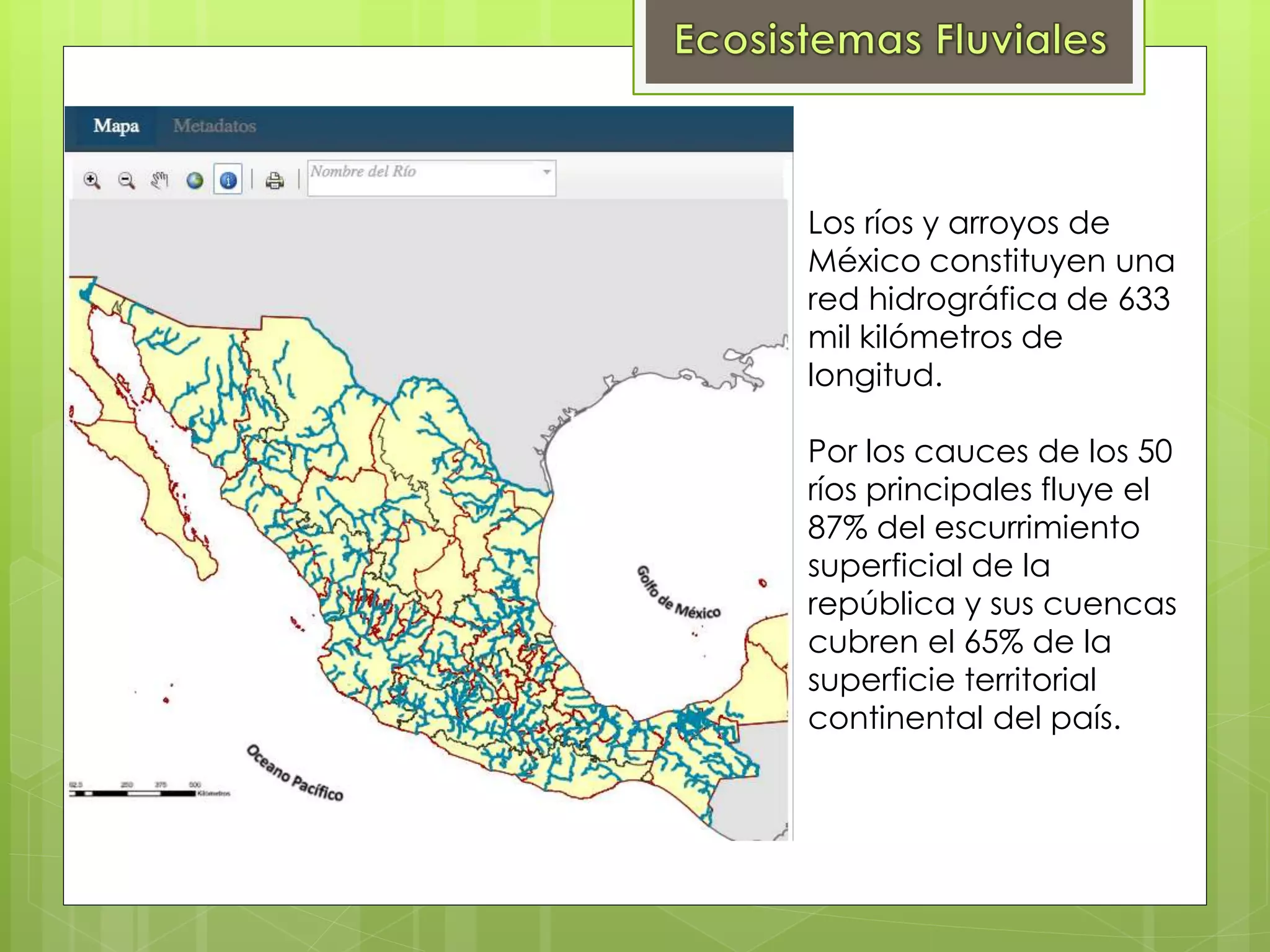 Ecosistemas Fluviales PPT ecosistemas-fluviales-ppt