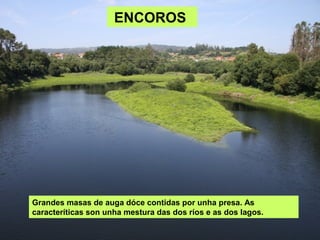 ENCOROS
Grandes masas de auga dóce contidas por unha presa. As
caracteríticas son unha mestura das dos ríos e as dos lagos.
 