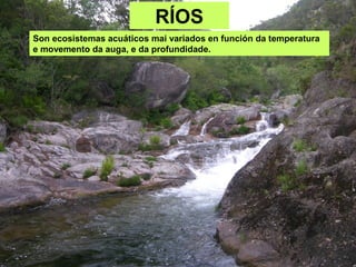 RÍOS
Son ecosistemas acuáticos mai variados en función da temperatura
e movemento da auga, e da profundidade.
 