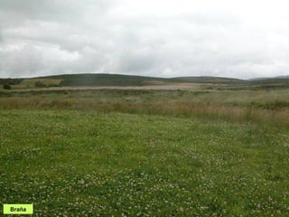 Braña
 