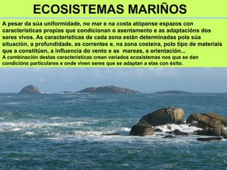 ECOSISTEMAS MARIÑOS
A pesar da súa uniformidade, no mar e na costa atópanse espazos con
características propias que condicionan o asentamento e as adaptacións dos
seres vivos. As características de cada zona están determinadas pola súa
situación, a profundidade, as correntes e, na zona costeira, polo tipo de materiais
que a constitúen, a influencia do vento e as mareas, a orientación...
A combinación destas características crean variados ecosistemas nos que se dan
condicións particulares e onde viven seres que se adaptan a elas con éxito.
 