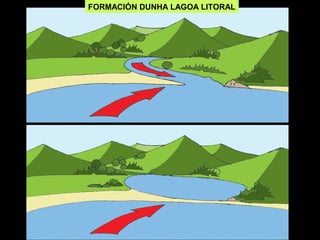 FORMACIÓN DUNHA LAGOA LITORAL
 