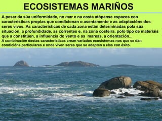 ECOSISTEMAS MARIÑOS
A pesar da súa uniformidade, no mar e na costa atópanse espazos con
características propias que condic...