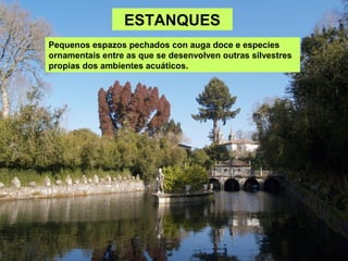 ESTANQUES
Pequenos espazos pechados con auga doce e especies
ornamentais entre as que se desenvolven outras silvestres
propias dos ambientes acuáticos.
 