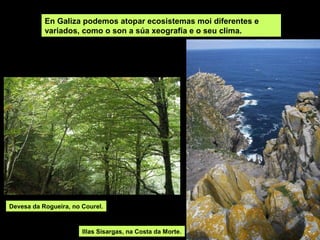 En Galiza podemos atopar ecosistemas moi diferentes e
variados, como o son a súa xeografía e o seu clima.
Devesa da Rogueira, no Courel.
Illas Sisargas, na Costa da Morte.
 