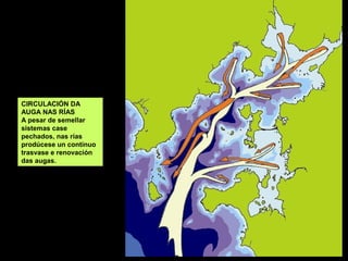 CIRCULACIÓN DA
AUGA NAS RÍAS
A pesar de semellar
sistemas case
pechados, nas rías
prodúcese un contínuo
trasvase e renovación
das augas.
 