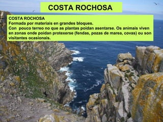 COSTA ROCHOSA
COSTA ROCHOSA
Formada por materiais en grandes bloques.
Con pouco terreo no que as plantas poidan asentarse. Os animais viven
en zonas onde poidan protexerse (fendas, pozas de marea, covas) ou son
visitantes ocasionais.
 