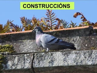 CONSTRUCCIÓNS
 