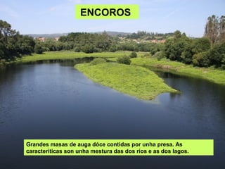 ENCOROS




Grandes masas de auga dóce contidas por unha presa. As
caracteríticas son unha mestura das dos ríos e as dos lagos.
 