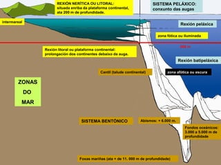 REXIÓN NERÍTICA OU LITORAL:                           SISTEMA PELÁXICO:
                         situada enriba da plataforma continental,             conxunto das augas
                         ata 200 m de profundidade.

intermareal
                                                                                               Rexión peláxica

                                                                                 zona fótica ou iluminada

                                                                                               200 m
                   Rexión litoral ou plataforma continental:
                   prolongación dos continentes debaixo da auga.
                                                                                              Rexión batipeláxica

                                                 Cantil (talude continental)          zona afótica ou escura

        ZONAS
              DO
          MAR


                                      SISTEMA BENTÓNICO                 Abismos: + 6.000 m.
                                                                                                 Fondos oceánicos:
                                                                                                 3.000 a 5.000 m de
                                                                                                 profundidade




                                     Foxas mariñas (ata + de 11. 000 m de profundidade)
 