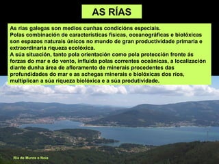AS RÍAS
As rias galegas son medios cunhas condicións especiais.
Polas combinación de características físicas, oceanográficas e biolóxicas
son espazos naturais únicos no mundo de gran productividade primaria e
extraordinaria riqueza ecolóxica.
A súa situación, tanto pola orientación como pola protección fronte ás
forzas do mar e do vento, influida polas correntes oceánicas, a localización
diante dunha área de afloramento de minerais procedentes das
profundidades do mar e as achegas minerais e biolóxicas dos ríos,
multiplican a súa riqueza biolóxica e a súa produtividade.




 Ría de Muros e Noia
 