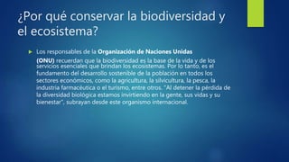  Los responsables de la Organización de Naciones Unidas
(ONU) recuerdan que la biodiversidad es la base de la vida y de los
servicios esenciales que brindan los ecosistemas. Por lo tanto, es el
fundamento del desarrollo sostenible de la población en todos los
sectores económicos, como la agricultura, la silvicultura, la pesca, la
industria farmacéutica o el turismo, entre otros. "Al detener la pérdida de
la diversidad biológica estamos invirtiendo en la gente, sus vidas y su
bienestar", subrayan desde este organismo internacional.
¿Por qué conservar la biodiversidad y
el ecosistema?
 