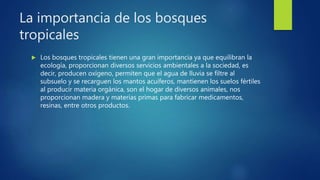 La importancia de los bosques
tropicales
 Los bosques tropicales tienen una gran importancia ya que equilibran la
ecología, proporcionan diversos servicios ambientales a la sociedad, es
decir, producen oxígeno, permiten que el agua de lluvia se filtre al
subsuelo y se recarguen los mantos acuíferos, mantienen los suelos fértiles
al producir materia orgánica, son el hogar de diversos animales, nos
proporcionan madera y materias primas para fabricar medicamentos,
resinas, entre otros productos.
 