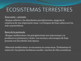 Zona norte – noroeste
-Bosque atlántico: las abundantes precipitaciones, aseguran la
existencia de una importante masa. Los bosques de hoja caduca son los
más característicos.
Resto de la península
-Bosque mediterráneo: las precipitaciones son más escasas y se
producen en primavera y otoño. Las encinas y alcornoques de hoja
perenne son los árboles más típicos.
-Matorral mediterráneo: se encuentra en zonas secas. Predominan el
matorral y las plantas herbáceas anuales, muchas de ellas aromáticas.
 
