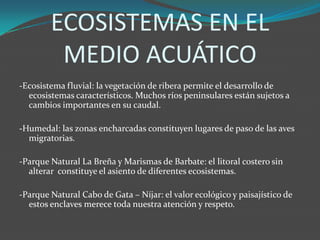 ECOSISTEMAS EN EL
MEDIO ACUÁTICO
-Ecosistema fluvial: la vegetación de ribera permite el desarrollo de
ecosistemas característicos. Muchos ríos peninsulares están sujetos a
cambios importantes en su caudal.
-Humedal: las zonas encharcadas constituyen lugares de paso de las aves
migratorias.
-Parque Natural La Breña y Marismas de Barbate: el litoral costero sin
alterar constituye el asiento de diferentes ecosistemas.
-Parque Natural Cabo de Gata – Níjar: el valor ecológico y paisajístico de
estos enclaves merece toda nuestra atención y respeto.
 