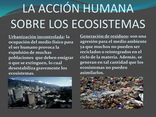LA ACCIÓN HUMANA
SOBRE LOS ECOSISTEMAS
Urbanización incontrolada: la
ocupación del medio físico para
el ser humano provoca la
expulsión de muchas
poblaciones que deben emigrar
o que se extinguen, lo cual
desestabiliza gravemente los
ecosistemas.
Generación de residuos: son una
agresión para el medio ambiente
ya que muchos no pueden ser
reciclados o reintegrados en el
ciclo de la materia. Además, se
generan en tal cantidad que los
ecosistemas no pueden
asimilarlos.
 