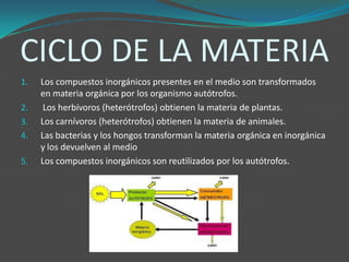 CICLO DE LA MATERIA
1. Los compuestos inorgánicos presentes en el medio son transformados
en materia orgánica por los organismo autótrofos.
2. Los herbívoros (heterótrofos) obtienen la materia de plantas.
3. Los carnívoros (heterótrofos) obtienen la materia de animales.
4. Las bacterias y los hongos transforman la materia orgánica en inorgánica
y los devuelven al medio
5. Los compuestos inorgánicos son reutilizados por los autótrofos.
 