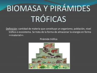 BIOMASA Y PIRÁMIDES
TRÓFICAS
Definición: cantidad de materia que constituye un organismo, población, nivel
trófico o ecosistema. Se trata de la forma de almacenar la energía en forma
<<material>>.
Pirámide trófica
 