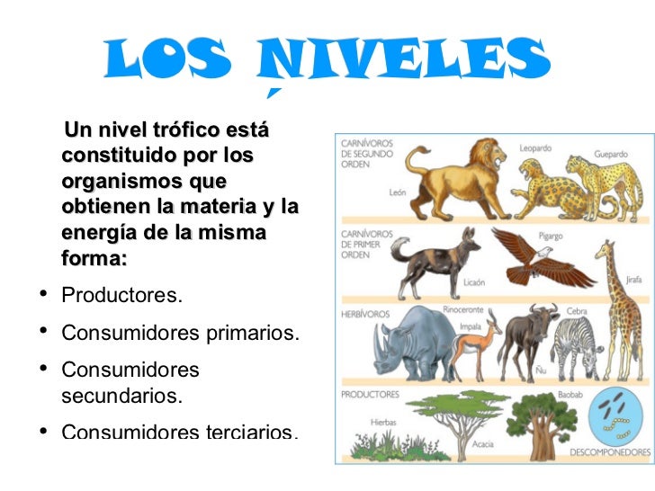 Ecosistemas, ieslajara, 4eso