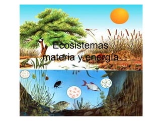 Ecosistemas
materia y energía
 