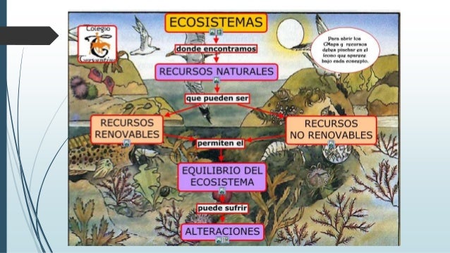 Que es un Ecosistema