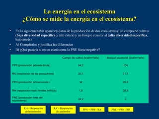La energía en el ecosistema
             ¿Cómo se mide la energía en el ecosistema?
•     En la siguiente tabla aparecen datos de la producción de dos ecosistemas: un campo de cultivo
      (baja diversidad específica y alto estrés) y un bosque ecuatorial (alta diversidad específica,
      bajo estrés)
•     A) Compáralos y justifica las diferencias
•     B) ¿Qué pasaría si en un ecosistema la PNE fuese negativa?

                                               Campo de cultivo (kcal/m2/año)      Bosque ecuatorial (kcal/m2/año)

    PPB (producción primaria bruta)                        54,2                                 100


    RA (respiración de los productores)                    20,1                                 71,1


    PPN (producción primaria neta)                          34                                  28,8


    RH (respiración resto niveles tróficos)                 1,8                                 28,8

    PNE (producción neta del
                                                           32,2                                  0
    ecosistema)

              RH = Respiración          RA = Respiración          PPN = PPB - RA      PNE = PPN - RH
               de heterótrofos           de autótrofos
 