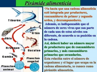 Pirámide alimenticia
        •No basta que una cadena alimenticia
        esté integrada por productores,
        consumidores de primer y segundo
        orden, y descomponedores.
         Además, es indispensable que el
        número de seres vivos que son parte
        de cada uno de estos niveles sea
        diferente, de acuerdo a su posición en
        la cadena.
        Así, deberá haber un número mayor
        de productores que de consumidores
        primarios, y más consumidores
        primarios que secundarios.
        Esta relación entre el número de
        organismos y el lugar que ocupa en la
        cadena alimentaria, se conoce como
        pirámide alimenticia.
 