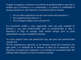 Cuando se empieza a colonizar un territorio la productividad es muy alta, a
medida que el territorio se va colonizando y se alcanza la estabilidad la
biomasa alcanza un valor máximo y la productividad es mínima.

    •   En un cultivo agrícola la tasa de renovación sería próxima a 1.
    •   En un pastizal sería entre 0 y 1.
    •   En un bosque maduro sería cercana al 0.

Un ecosistema estable y muy organizado, tiene una gran cantidad de
biomasa y una gran biodiversidad, pero su productividad es baja y
disminuye el flujo de energía: entra mucha energía pero se gasta
manteniendo una gran cantidad de biomasa.

•La selva tropical tiene una producción muy alta pero una productividad
cercana al 0
•En las explotaciones agrícolas, el ser humano extrae del ecosistema una
gran parte o la totalidad de la biomasa al final de la temporada. Esto
disminuye los gastos por respiración y un aumento de la productividad. Sin
embargo debe reponerse al suelo la materia extraída.
 