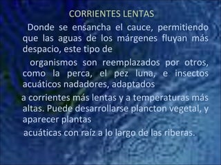 CORRIENTES LENTAS
 Donde se ensancha el cauce, permitiendo
que las aguas de los márgenes fluyan más
despacio, este tipo de
  organismos son reemplazados por otros,
como la perca, el pez luna, e insectos
acuáticos nadadores, adaptados
a corrientes más lentas y a temperaturas más
altas. Puede desarrollarse plancton vegetal, y
aparecer plantas
acuáticas con raíz a lo largo de las riberas.
 