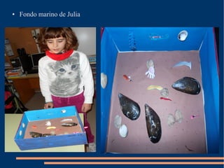 ●   Fondo marino de Julia
 