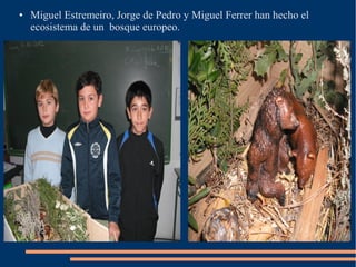 ● Miguel Estremeiro, Jorge de Pedro y Miguel Ferrer han hecho el
ecosistema de un bosque europeo.