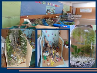 Ecosistemas maquetas ii
