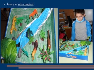 ● Juan y su selva tropical.