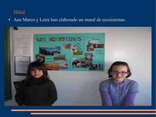 Mural
● Ana Marco y Leire han elaborado un mural de ecosistemas.