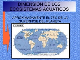 DIMENSIÓN DE LOS
ECOSISTEMAS ACUÁTICOS
APROXIMADAMENTE EL 75% DE LA
   SUPERFICIE DEL PLANETA
 