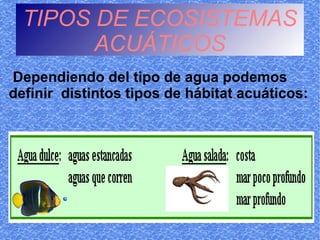 TIPOS DE ECOSISTEMAS
        ACUÁTICOS
Dependiendo del tipo de agua podemos
definir distintos tipos de hábitat acuáticos:
 