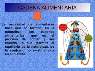CADENA ALIMENTARIA


La necesidad de alimentarse
  hace que se formen, en la
  naturaleza,     las    cadenas
  alimentarías,    que    es    el
  proceso de comer y ser
  comido, lo cual permite el
  equilibrio de la naturaleza, de
  lo contrario no existiría vida
  en el planeta.
 