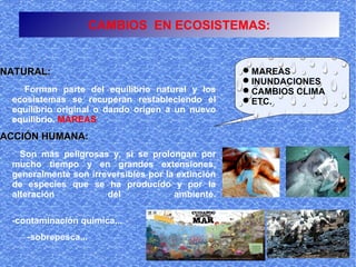 CAMBIOS EN ECOSISTEMAS:


NATURAL:                                           MAREAS
                                                   INUNDACIONES
   Forman parte del equilibrio natural y los       CAMBIOS CLIMA
 ecosistemas se recuperan restableciendo el        ETC.
 equilibrio original o dando origen a un nuevo
 equilibrio. MAREAS
ACCIÓN HUMANA:
   Son más peligrosas y, si se prolongan por
 mucho tiempo y en grandes extensiones,
 generalmente son irreversibles por la extinción
 de especies que se ha producido y por la
 alteración           del             ambiente.

 -contaminación química...
    -sobrepesca...
 