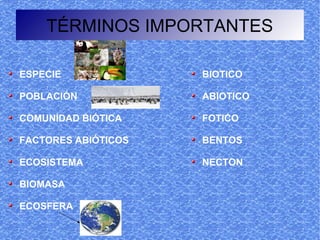 TÉRMINOS IMPORTANTES

ESPECIE              BIOTICO

POBLACIÓN            ABIOTICO

COMUNIDAD BIÓTICA    FOTICO

FACTORES ABIÓTICOS   BENTOS

ECOSISTEMA           NECTON

BIOMASA

ECOSFERA
 