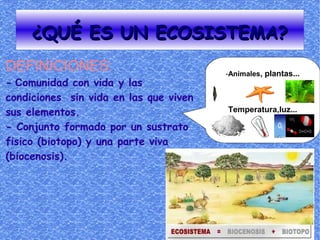 ¿QUÉ ES UN ECOSISTEMA?
DEFINICIONES:                           -Animales, plantas...
- Comunidad con vida y las
condiciones sin vida en las que viven
sus elementos.                          Temperatura,luz...

- Conjunto formado por un sustrato
fisico (biotopo) y una parte viva
(biocenosis).
 
