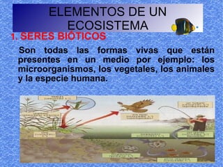 ELEMENTOS DE UN
         ECOSISTEMA
1. SERES BIÓTICOS
 Son todas las formas vivas que están
 presentes en un medio por ejemplo: los
 microorganismos, los vegetales, los animales
 y la especie humana.
 