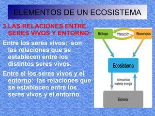 ELEMENTOS DE UN ECOSISTEMA
3.LAS RELACIONES ENTRE
  SERES VIVOS Y ENTORNO:
Entre los seres vivos: son
 las relaciones que se
 establecen entre los
 distintos seres vivos.
Entre el los seres vivos y el
 entorno: las relaciones que
 se establecen entre los
 seres vivos y el entorno.
 
