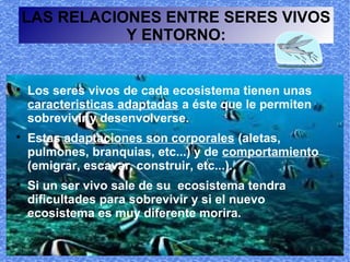 LAS RELACIONES ENTRE SERES VIVOS
           Y ENTORNO:



    Los seres vivos de cada ecosistema tienen unas
    caracteristicas adaptadas a éste que le permiten
    sobrevivir y desenvolverse.

    Estas adaptaciones son corporales (aletas,
    pulmones, branquias, etc...) y de comportamiento
    (emigrar, escavar, construir, etc...).

    Si un ser vivo sale de su ecosistema tendra
    dificultades para sobrevivir y si el nuevo
    ecosistema es muy diferente morira.
 