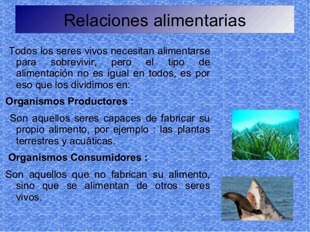 Ecosistemas marinos