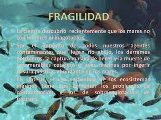 • La ciencia descubrió recientemente que los mares no
son infinitos ni inagotables.
• Son el depósito de todos nuestros agentes
contaminantes que llegan río abajo, los derrames
petroleros, la captura masiva de peces y la muerte de
innumerables cetáceos y aves marinas por ingerir
basura plástica, abundante en los mares.
• En síntesis, el uso sostenible de los ecosistemas
marinos tiene que enfrentar los problemas de
contaminación y los de sobreexplotación de
recursos.
FRAGILIDAD
 