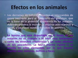 Efectos en los animales
• Los derrames de petróleo impiden el intercambio de
gases necesario para el desarrollo del plancton, que
es la base de la pirámide alimenticia de los océanos.
Además, provoca la muerte de muchas aves marinas y
peces, y las playas quedan bañadas de petróleo.
• La basura que está depositada en el fondo de los
océanos no se degrada o lo hace muy lentamente
como los desechos industriales y las redes plásticas
de los pescadores. La fauna marina ingiere o se
enreda en estos elementos, por lo que mueren
muchas aves, ballenas, delfines y focas.
 